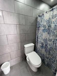 un bagno con un water e una tenda da doccia di Sea Breeze Tunnel Hideaway 2 a Quebradillas Altre 16 foto