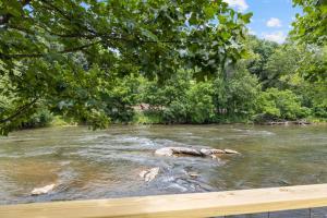 a river with some rocks in the water at River Run - Riverfront Tiny Home, Trails, and Views! in Sylva