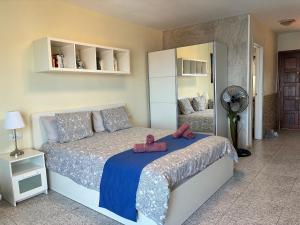a bedroom with a bed and a fan at Apartamento Monis Natura in Icod de los Vinos