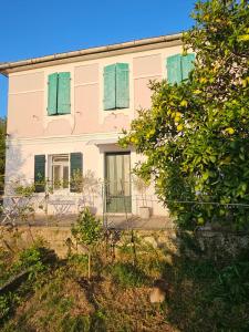 Κήπος έξω από το Citrus Centre Tivat