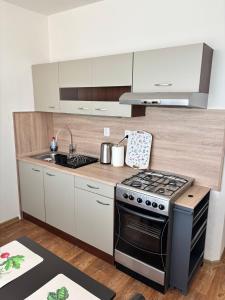 a kitchen with a stove and a sink at SimpleStay with parking in Košice