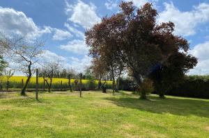 a tree in the middle of a field at Chambre Bouleau in Châteauvieux