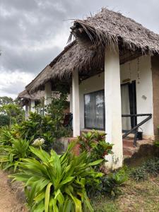 MakangaleVerani Beach Lodge的相册照片