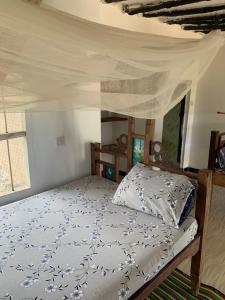 MakangaleVerani Beach Lodge的相册照片