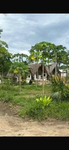 MakangaleVerani Beach Lodge的相册照片