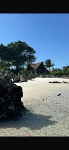 MakangaleVerani Beach Lodge的相册照片 更多37张照片