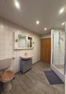 a bathroom with a toilet and a sink and a shower at Ferienwohnung Wood in Nonnweiler