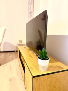a television on a wooden stand with a potted plant at Zentrumsnahe Wohnung mit Blick auf Siegens Obere Schloss in Siegen