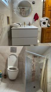 a white bathroom with a toilet and a sink at Maison f2 rouge in Saint-Leu