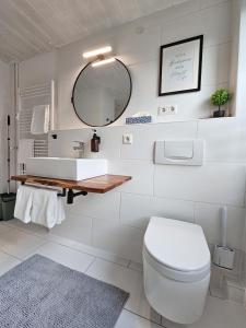 un bagno con lavandino, WC e specchio di Inn-Side Rottweil a Rottweil
