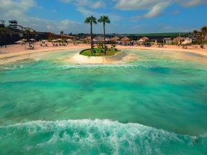 an aerial view of a beach with palm trees and water at Morro dos Anjos Águas Quentes Hotel Resort in Bandeirantes