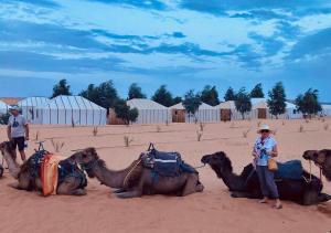 a woman standing in front of a group of camels at Acacia Luxury Camp in Merzouga