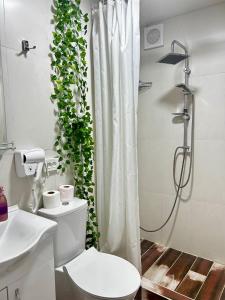 a bathroom with a toilet and a shower with a plant at Hotel Artist's House in Tʼetʼri Tsqaro +47 photos