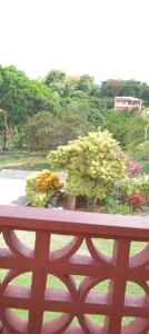 a view of a garden with flowers on a balcony at Little paradise in Saint Georgeʼs