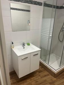 a white bathroom with a sink and a shower at New Le Chouch'heim F1 27 m2 Renovated 2025 clim tv internet in Hoenheim