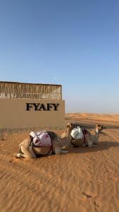Gambar di galeri bagi FYAFY Bidiyah Bedouin Camp di Badīyah