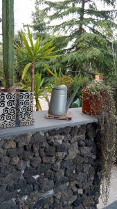 a stone wall with plants and a pot on it at Ai 4 gatti in Mascalucia