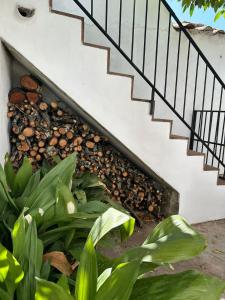 a staircase with rocks and plants next to a stair case at Casa Recia in Fuente del Arco