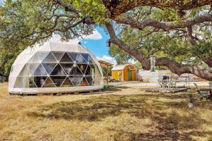 a large glass dome in a field under a tree at The Dome in Cloptins Crossing