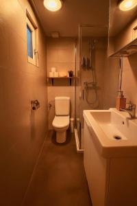 a small bathroom with a toilet and a sink at Nature Escape Veluwe Chalet in Putten