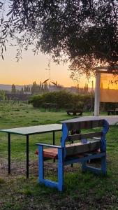 een tafeltennistafel en een bankje in een park bij Cabaña Oliva - Privacidad frente a los viñedos in San Rafael