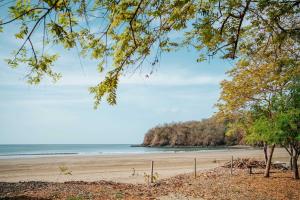 a beach with trees and the ocean in the background at Soul - Oceanfront Jungle Loft in Playa Venao