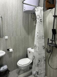 a bathroom with a toilet and a shower curtain at Grigor's Guestgouse in Yerevan
