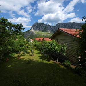 a yard with a house and a mountain in the background at Jupiter in Rimetea