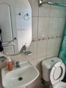 a bathroom with a sink and a toilet and a mirror at Hotel Plaza Los Leones in Curanilahue