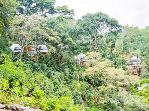 Fotografie z fotogalerie ubytování Alma Glamping v destinaci Xalapa