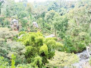 Fotografie z fotogalerie ubytování Alma Glamping v destinaci Xalapa + 14 fotografií