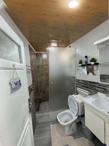 a bathroom with a shower and a toilet and a sink at Appartement charmant avec vue sur la sur mer in Bordj el Bahri
