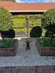 Vườn quanh La Belle Maison +7 ảnh