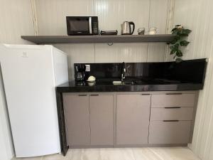 eine Küche mit einem Herd und einer Mikrowelle auf einem Regal in der Unterkunft Studio Laranjeira in Palmas