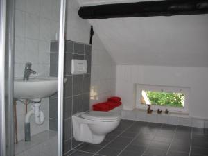 ein Bad mit einem WC, einem Waschbecken und einem Fenster in der Unterkunft Ferienwohnung Boen in Boen