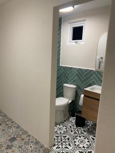 a bathroom with a toilet and a sink and a mirror at Mereri downtown appartments in Oranjestad
