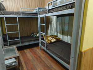 a couple of bunk beds in a room at Hills Vacation Hostel in Darjeeling