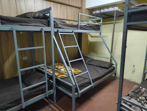 a group of bunk beds in a dorm room at Hills Vacation Hostel in Darjeeling