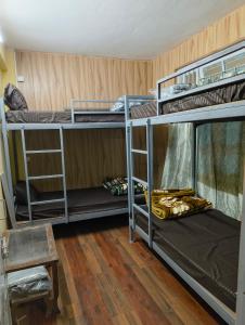 a room with three bunk beds in a room at Hills Vacation Hostel in Darjeeling