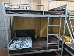 a couple of bunk beds in a room at Hills Vacation Hostel in Darjeeling