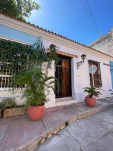 a house with two potted plants in front of it at Lotus Centro HIstorico in Santa Marta