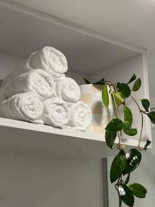 a pile of towels on a shelf with a plant at Waipu Cove Surf Cabin in Waipu