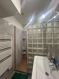 a bathroom with a sink and a bath tub at Comfort Parisian Room and Sofa Bed 1 min to Metro M4 & T3A in Paris +9 photos