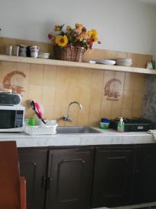 a kitchen counter with a sink and a microwave at Apartahotel Real in Palmira +6 photos