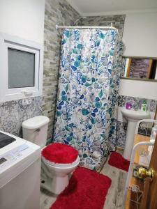 a bathroom with a toilet and a shower curtain at Cabañas Puerto Natales centro in Puerto Natales +8 photos