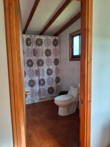 a bathroom with a toilet and a shower curtain at Ribera Calle Calle in Valdivia