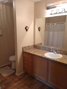 a bathroom with a sink and a mirror at Gem Estates Eagles nest in Emmett