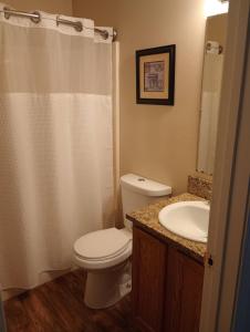 a bathroom with a toilet and a sink at Gem Estates Eagles nest in Emmett +8 photos