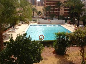 a large swimming pool with chairs and palm trees at Versalles - Zand Properties in Benidorm