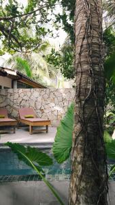 a patio with two benches and a tree at DreamTime in Hikkaduwa